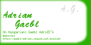 adrian gaebl business card